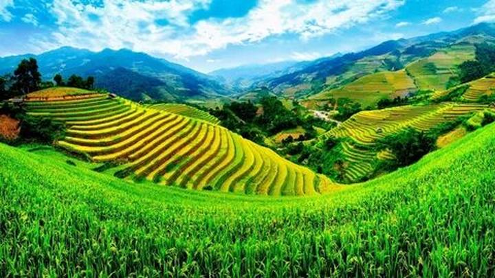 Hotspot Matrix và Mỹ nam Việt đóng liên tiếp 7 phim lỗ nặng, đẹp trai vô đối nhưng sao mà
