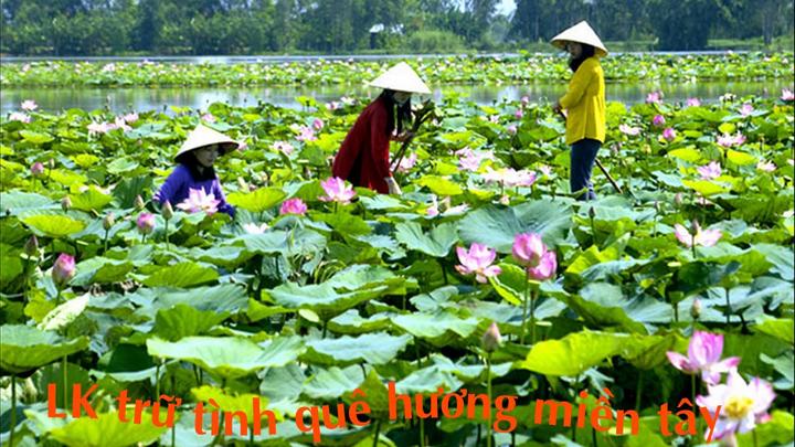 Hotspot Matrix và Nữ diễn viên có style